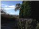 46 Traill Road, Exeter TAS 7275