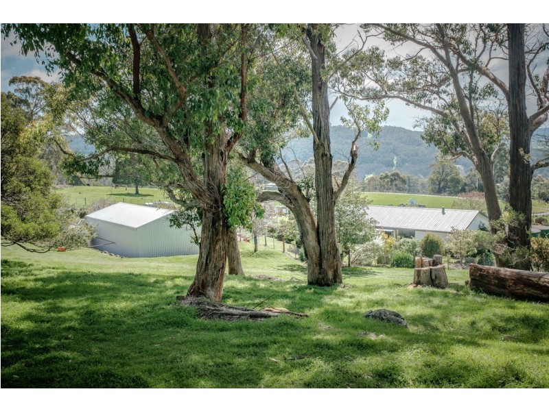 185 Weegena Road, Kimberley TAS 7304