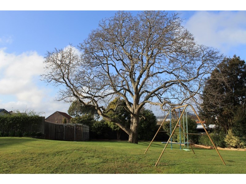 37 Arthur Street, Scottsdale TAS 7260