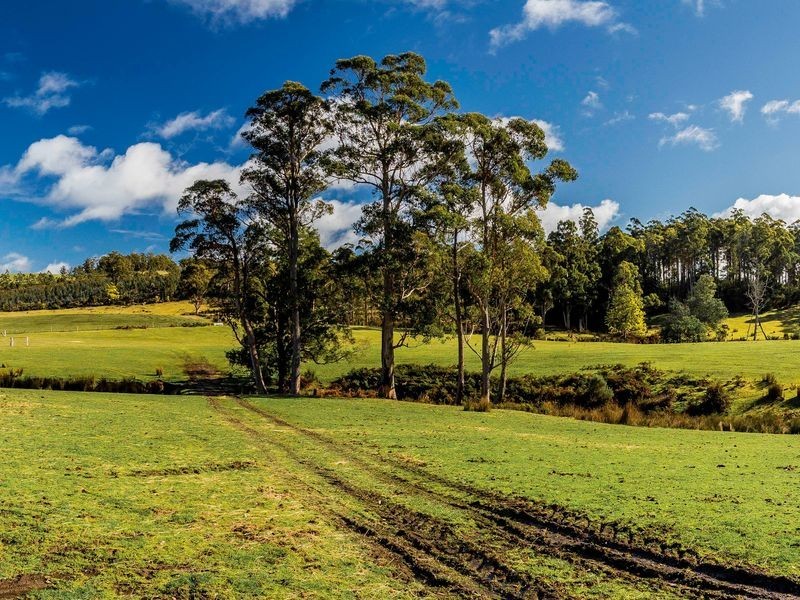 1951 Pipers River Road, Pipers River TAS 7252