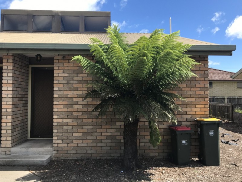 5/29a Main Street, Hadspen TAS 7290