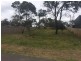 24 Hardwicke Street, Summerhill TAS 7250