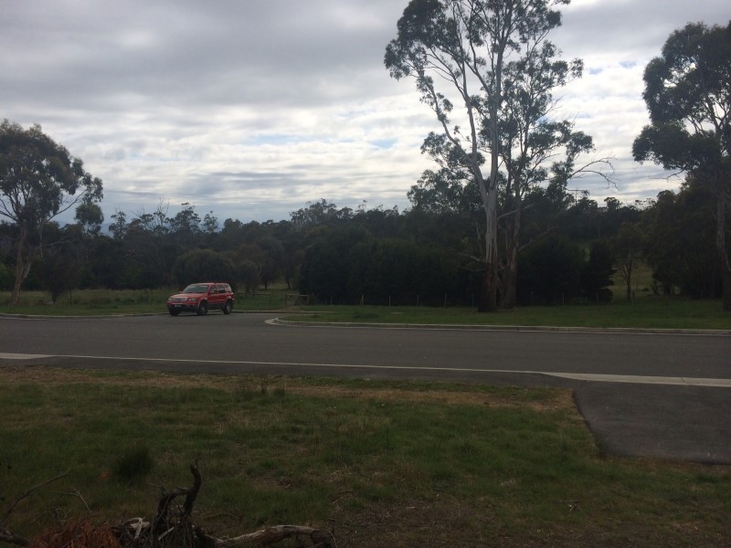 24 Hardwicke Street, Summerhill TAS 7250
