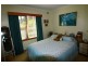 19 Ada Street, Scottsdale TAS 7260