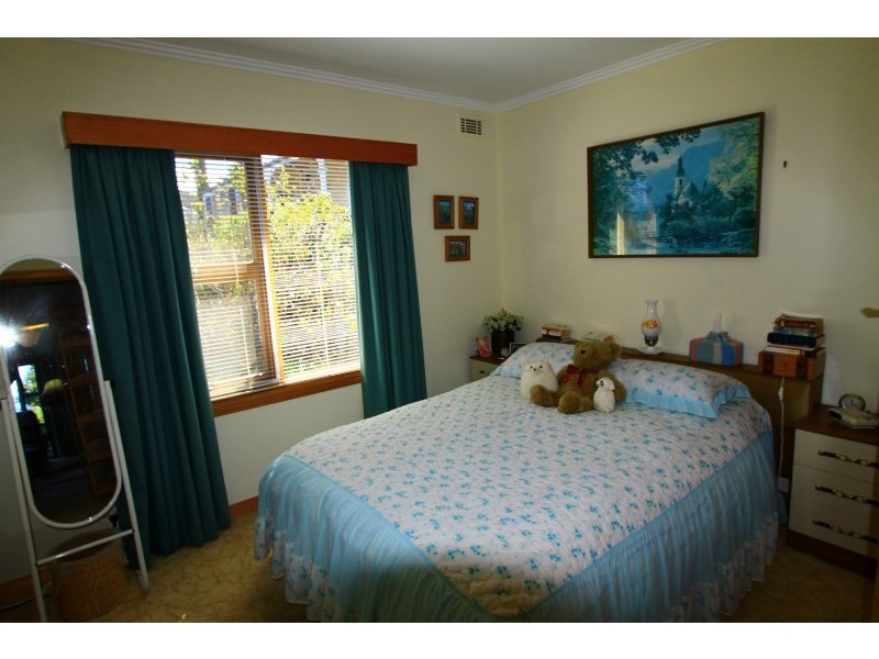 19 Ada Street, Scottsdale TAS 7260