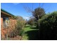 19 Ada Street, Scottsdale TAS 7260