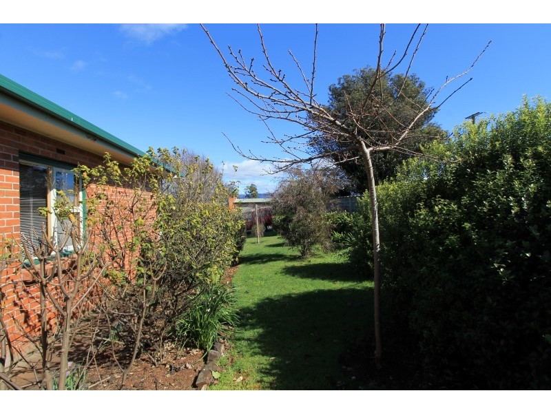 19 Ada Street, Scottsdale TAS 7260