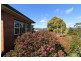 19 Ada Street, Scottsdale TAS 7260