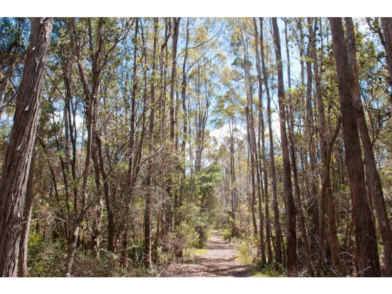 0 Bradys Plain Road, Parkham TAS 7304