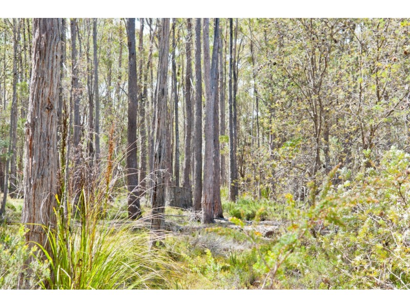 0 Bradys Plain Road, Parkham TAS 7304