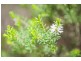0 Bradys Plain Road, Parkham TAS 7304