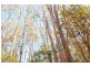 0 Bradys Plain Road, Parkham TAS 7304