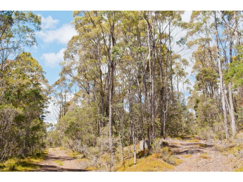 0 Bradys Plain Road, Parkham TAS 7304