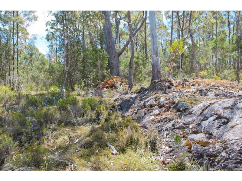 0 Bradys Plain Road, Parkham TAS 7304