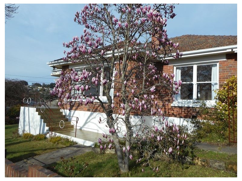 17 Robin Street, Newstead TAS 7250