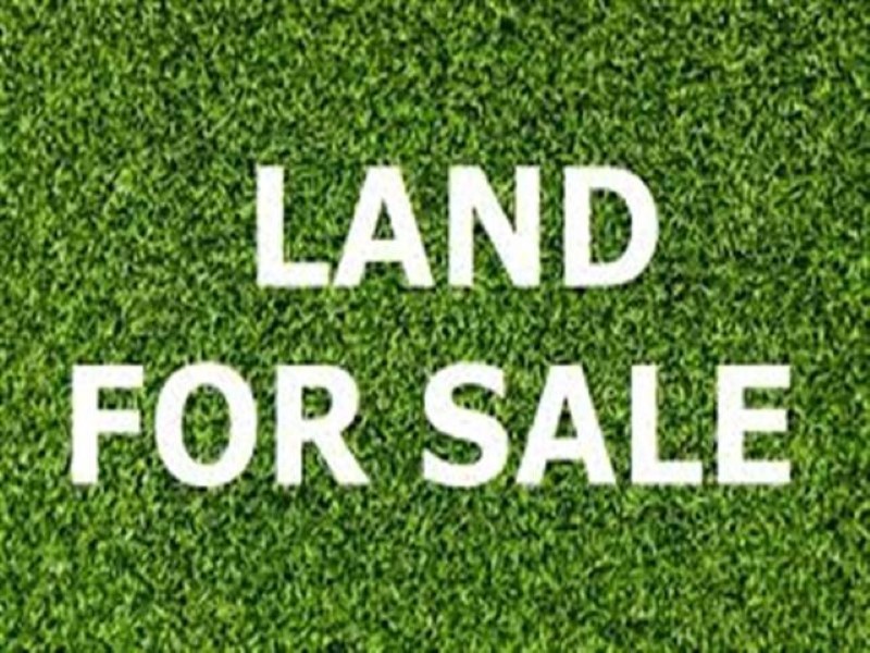 278 Evandale Road, Western Junction TAS 7212