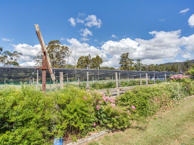 195 Karoola Road, Karoola TAS 7267