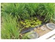 35930 Tasman Hwy, Springfield TAS 7260