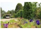35930 Tasman Hwy, Springfield TAS 7260