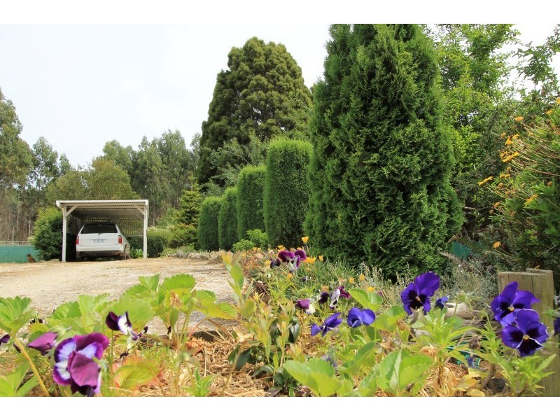 35930 Tasman Hwy, Springfield TAS 7260