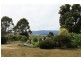 35930 Tasman Hwy, Springfield TAS 7260