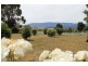 35930 Tasman Hwy, Springfield TAS 7260