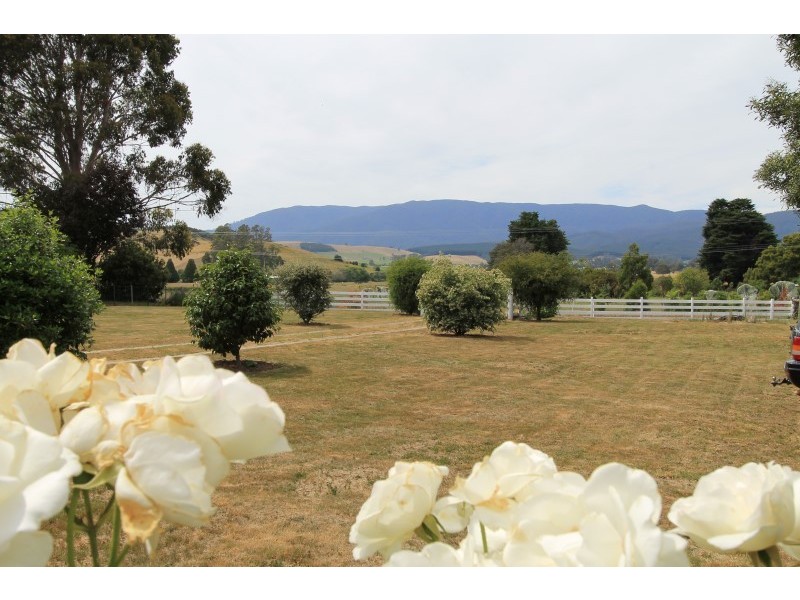 35930 Tasman Hwy, Springfield TAS 7260