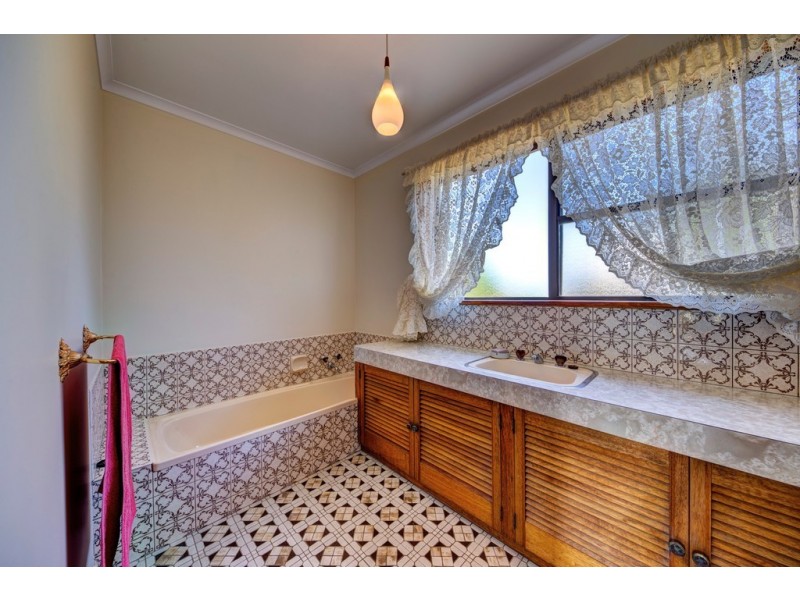 28 McNeill Street, Mole Creek TAS 7304