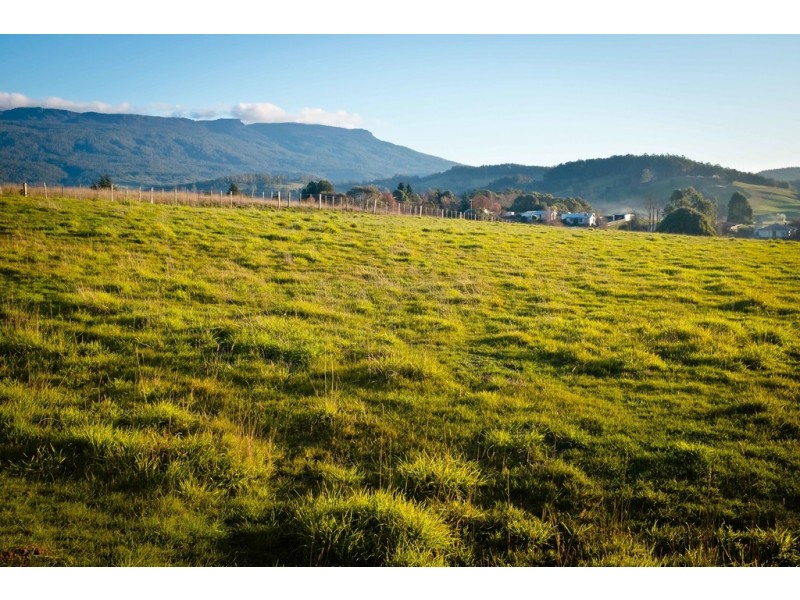 28 McNeill Street, Mole Creek TAS 7304