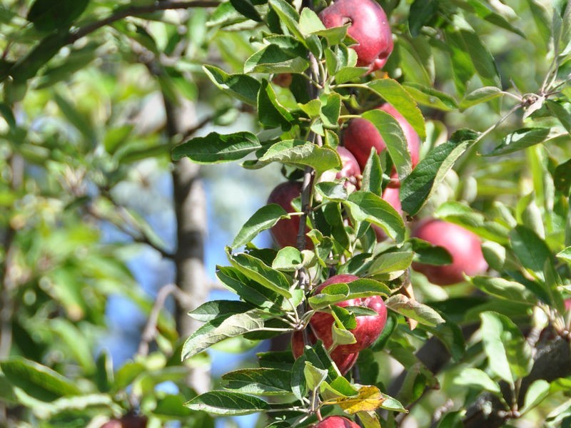 37 Talbot Road, South Launceston TAS 7249