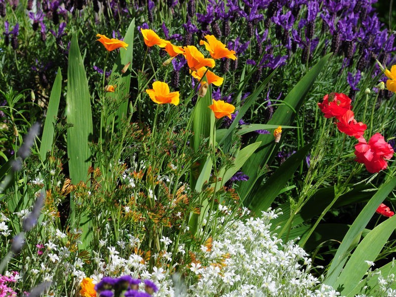 37 Talbot Road, South Launceston TAS 7249