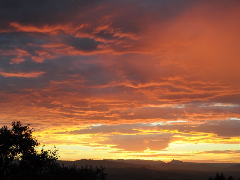 37 Talbot Road, South Launceston TAS 7249