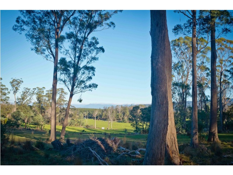 762 Adelphi Road, Whitemore TAS 7303