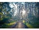 762 Adelphi Road, Whitemore TAS 7303