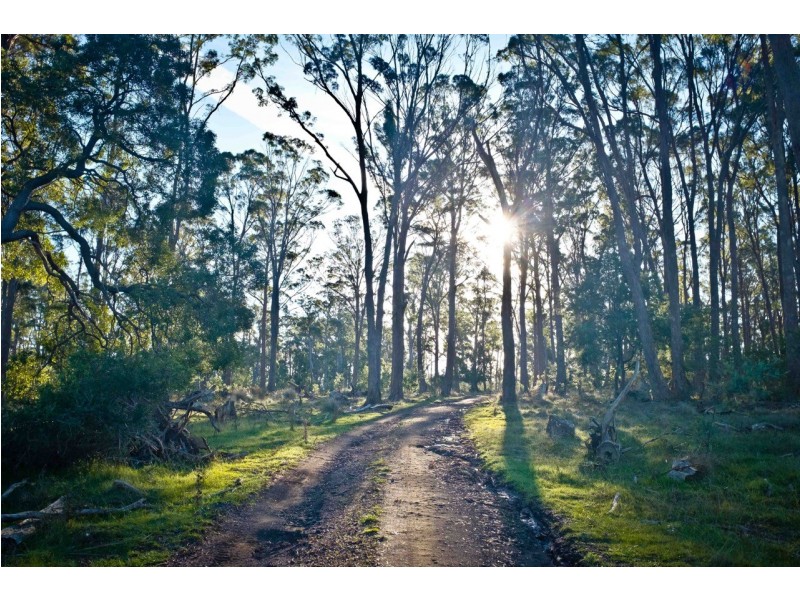 762 Adelphi Road, Whitemore TAS 7303