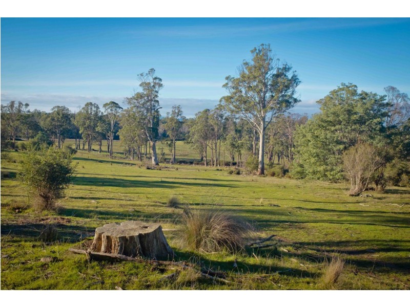 762 Adelphi Road, Whitemore TAS 7303