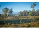 762 Adelphi Road, Whitemore TAS 7303