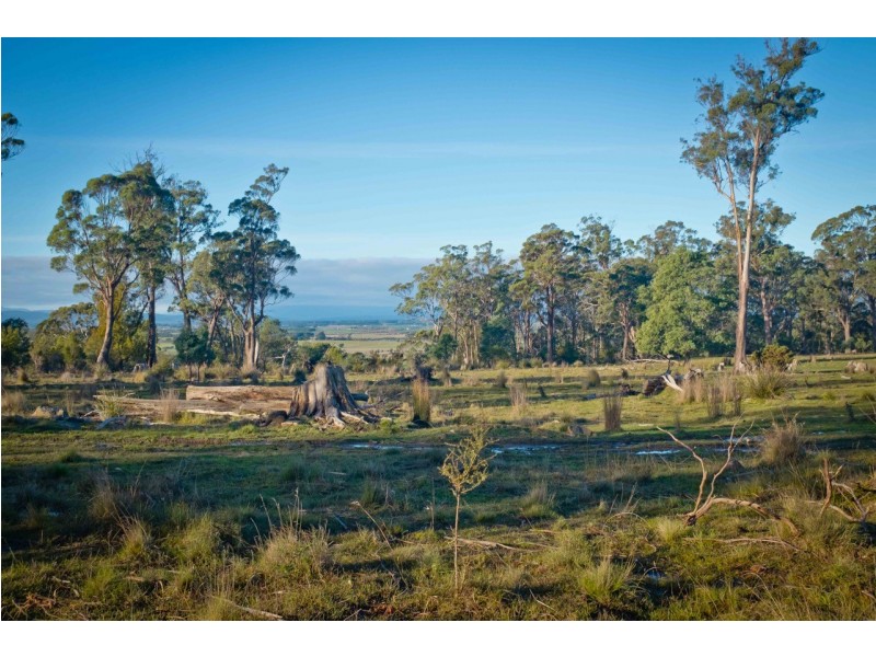762 Adelphi Road, Whitemore TAS 7303