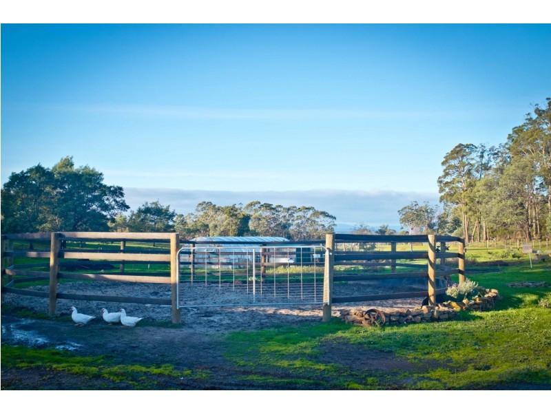 762 Adelphi Road, Whitemore TAS 7303
