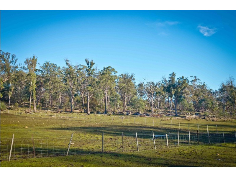 762 Adelphi Road, Whitemore TAS 7303