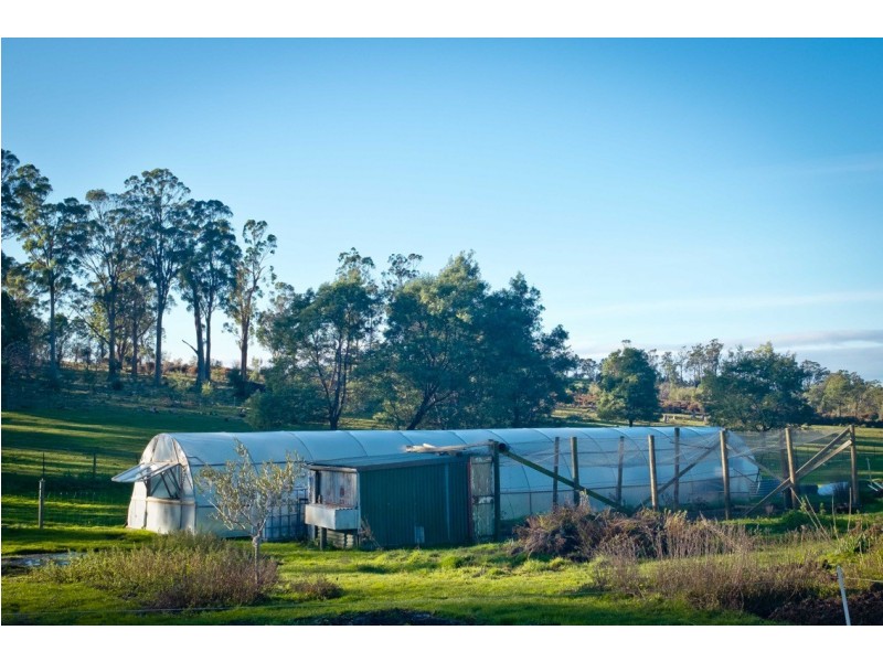 762 Adelphi Road, Whitemore TAS 7303