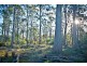 762 Adelphi Road, Whitemore TAS 7303