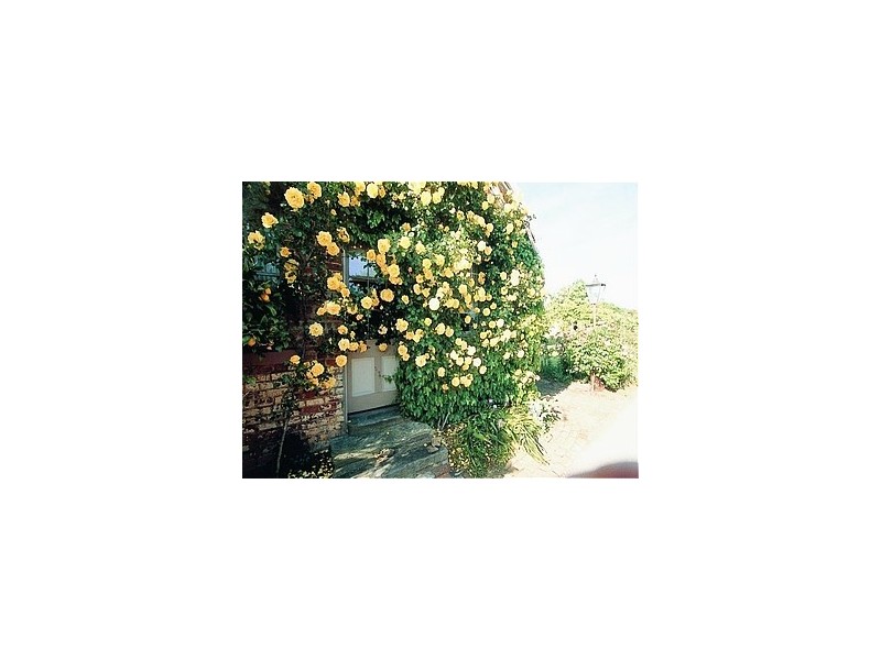 114 Marlborough Street, Longford TAS 7301