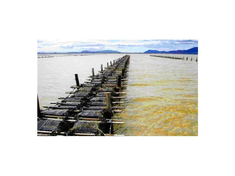 335 Bay Road, Boomer Bay TAS 7177