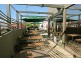 237 Elizabeth Street, North Hobart TAS 7000