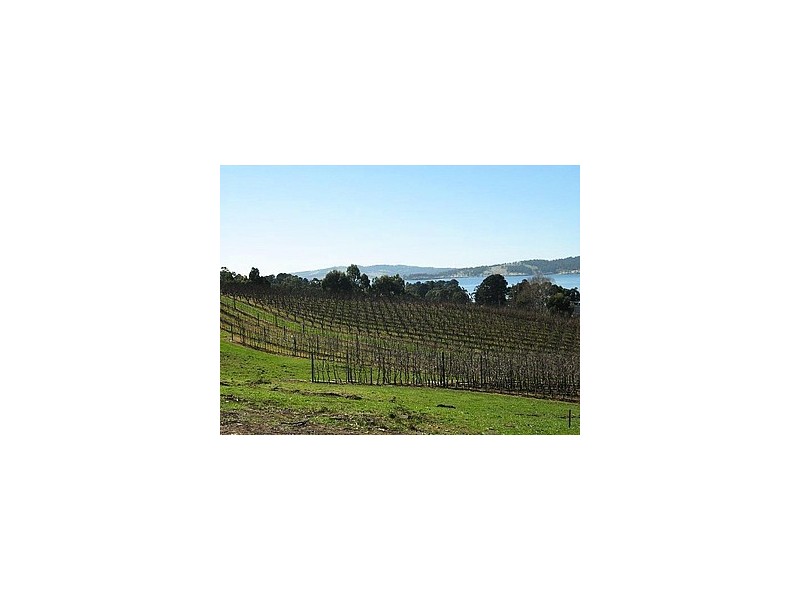 3644 Channel Highway, Birchs Bay TAS 7162