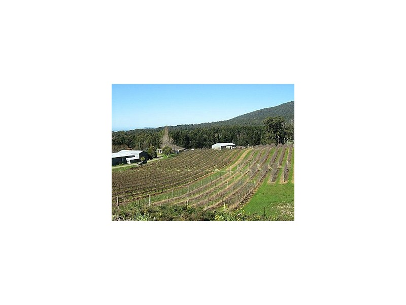 3644 Channel Highway, Birchs Bay TAS 7162