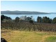 3644 Channel Highway, Birchs Bay TAS 7162