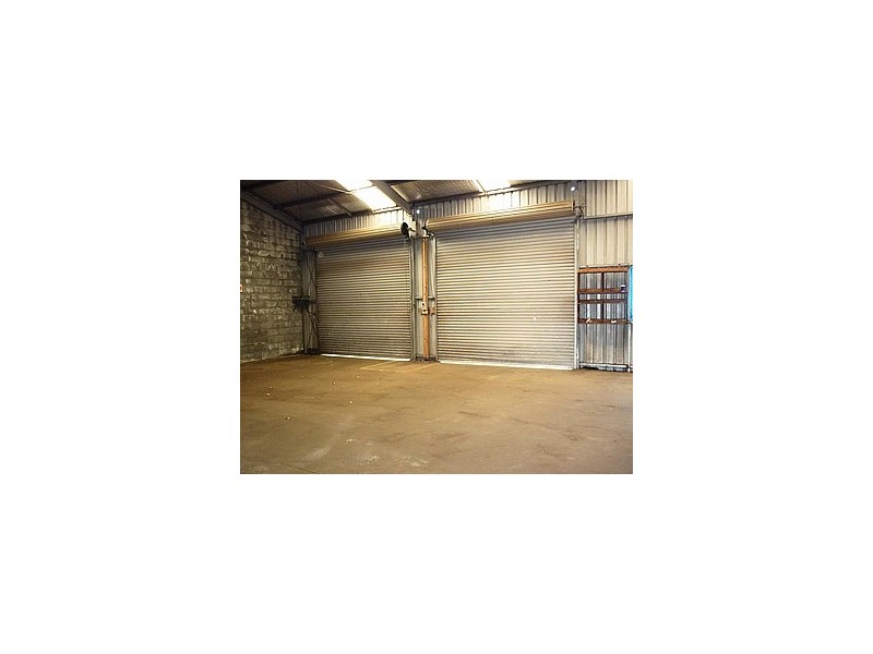 19 Ellenor Street, Scottsdale TAS 7260