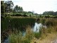 * Ten Mile Track, Scottsdale TAS 7260